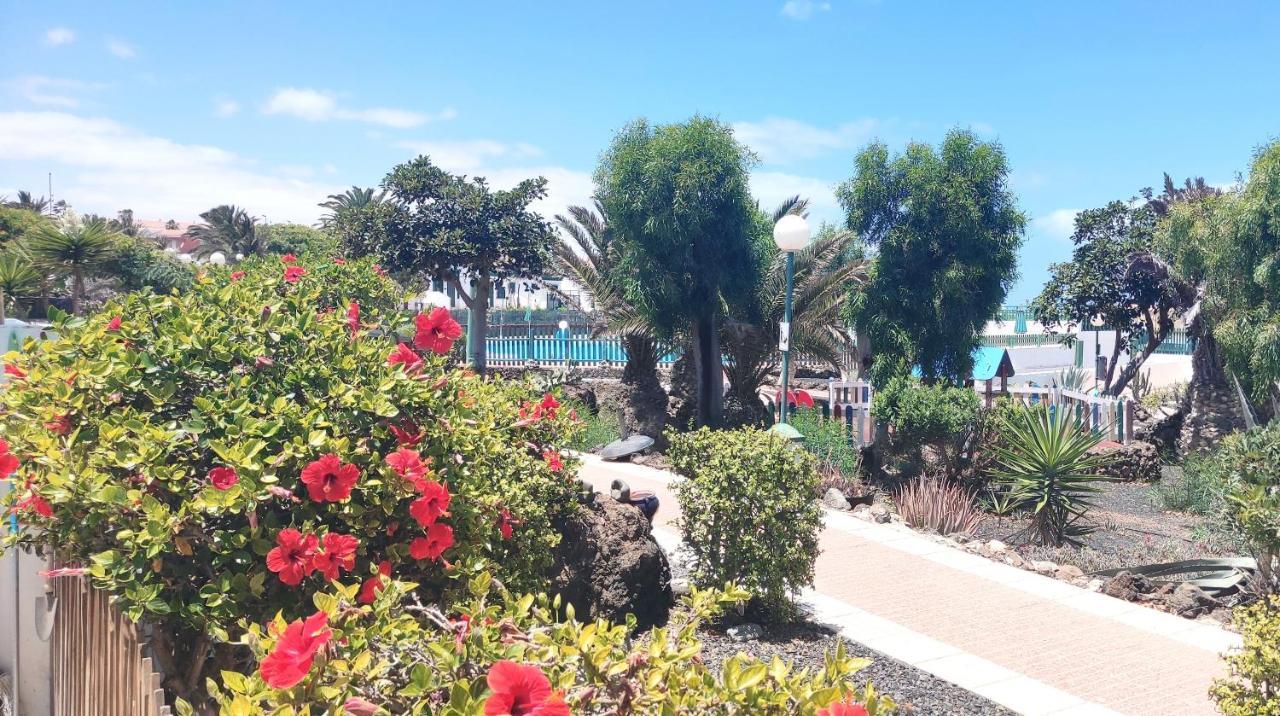Casa Alice Cocosol Βίλα Costa De Antigua Εξωτερικό φωτογραφία